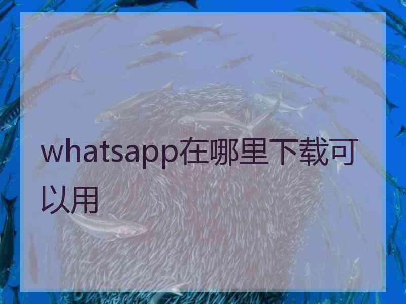 whatsapp在哪里下载可以用