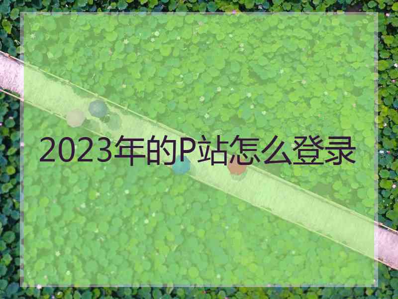 2023年的P站怎么登录