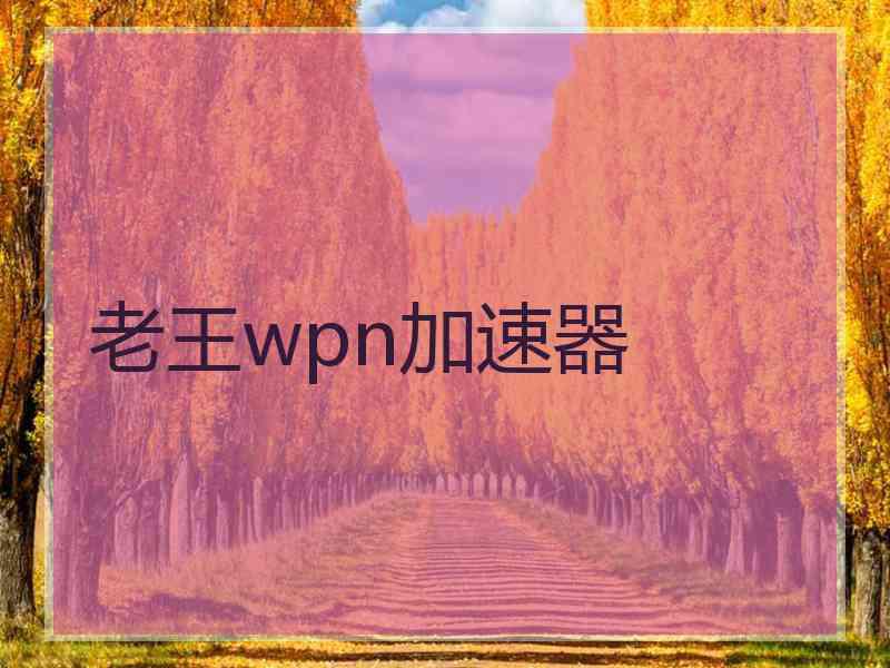 老王wpn加速器