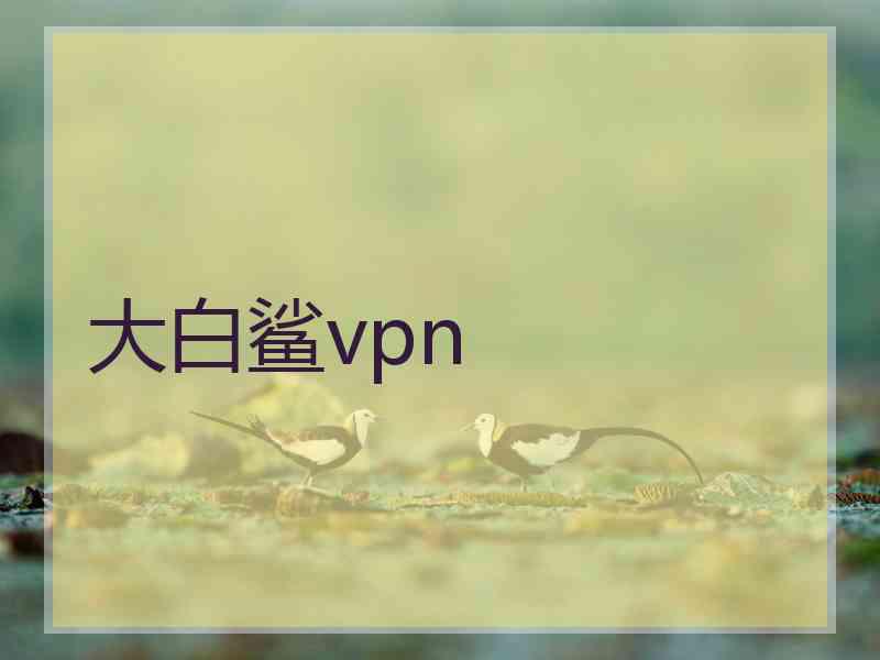 大白鲨vpn