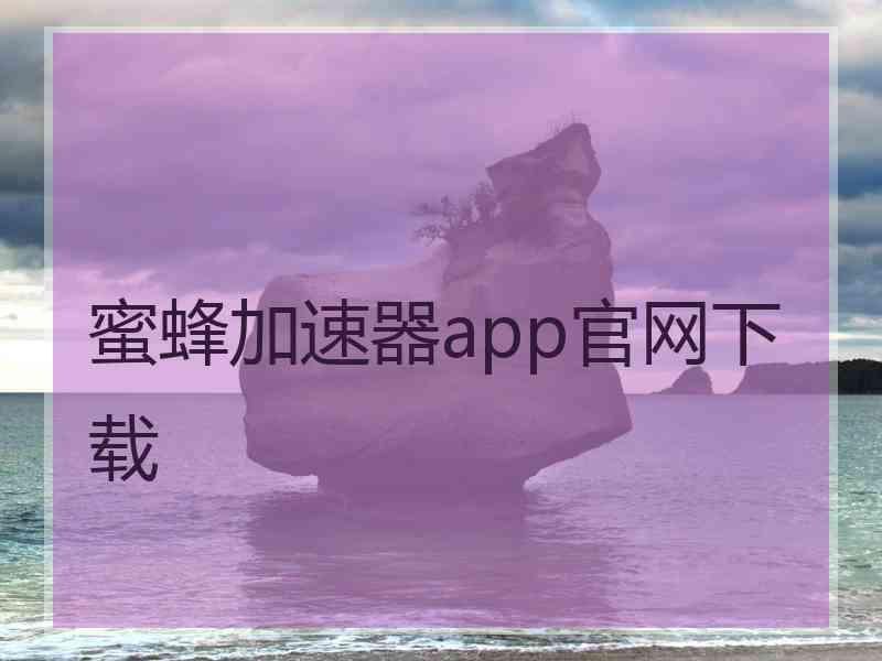 蜜蜂加速器app官网下载