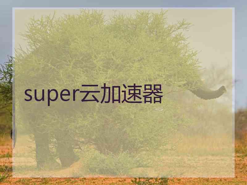 super云加速器