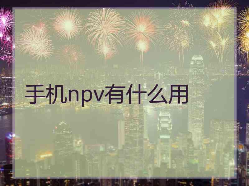 手机npv有什么用