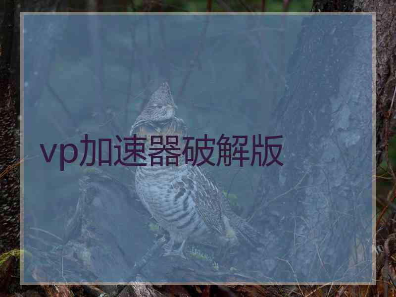 vp加速器破解版