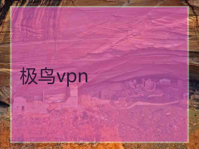 极鸟vpn