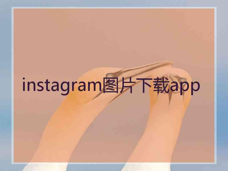 instagram图片下载app