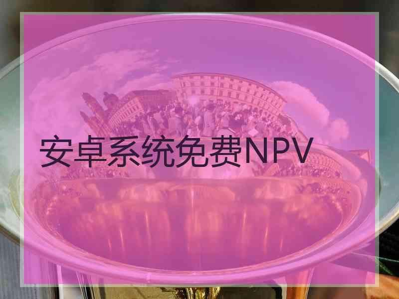 安卓系统免费NPV