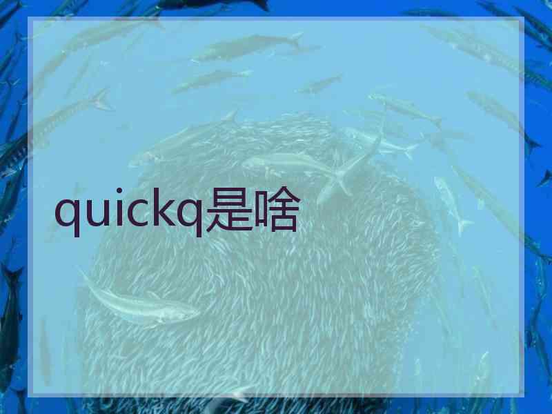 quickq是啥