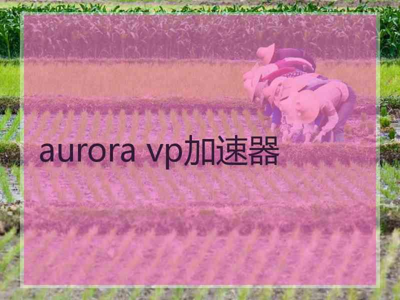 aurora vp加速器