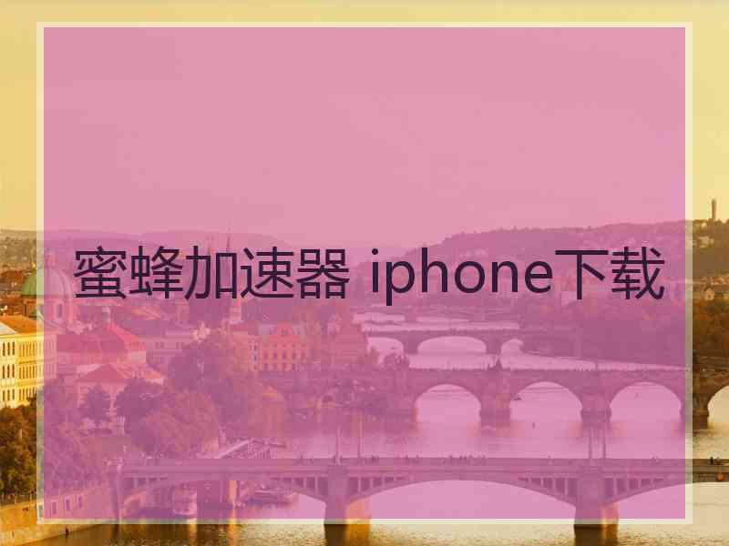 蜜蜂加速器 iphone下载