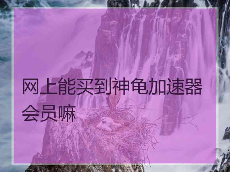 网上能买到神龟加速器会员嘛