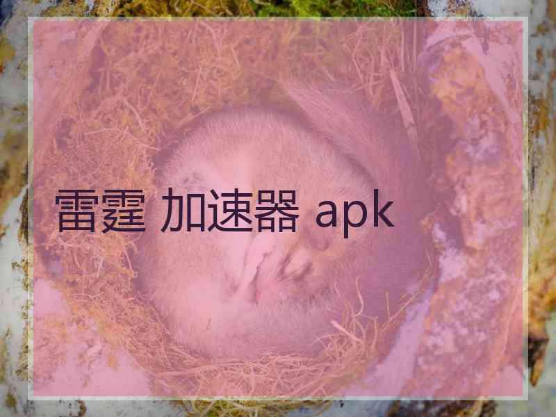 雷霆 加速器 apk