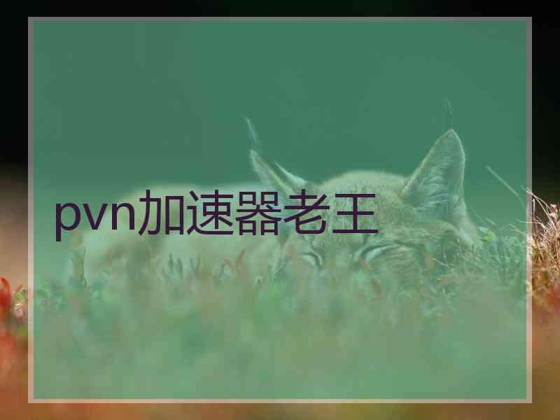 pvn加速器老王