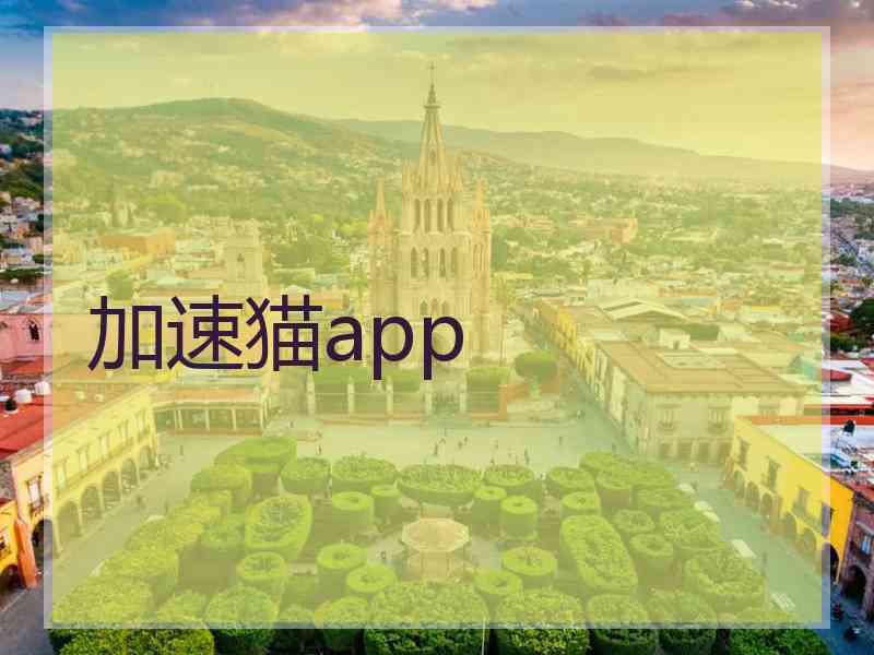 加速猫app