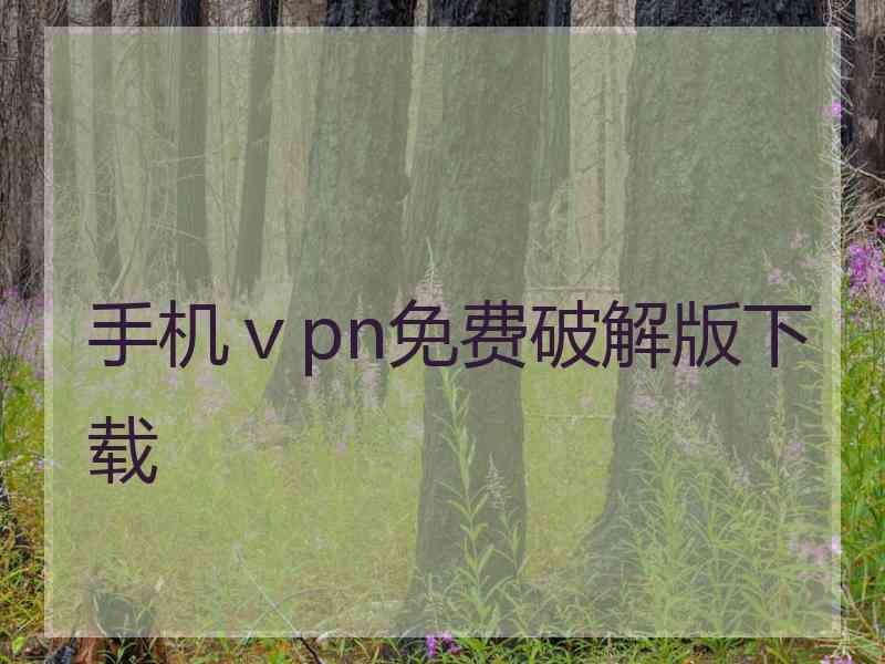 手机ⅴpn免费破解版下载