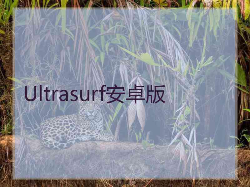 Ultrasurf安卓版