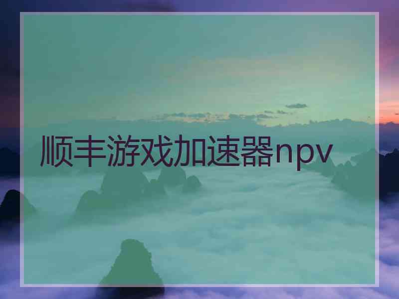 顺丰游戏加速器npv