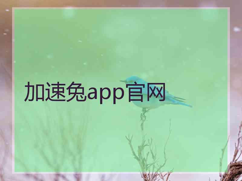 加速兔app官网