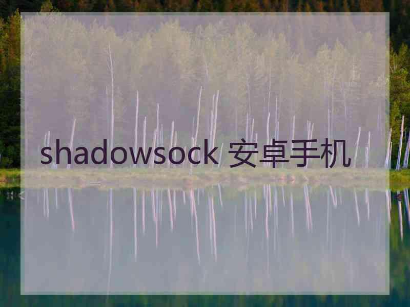 shadowsock 安卓手机