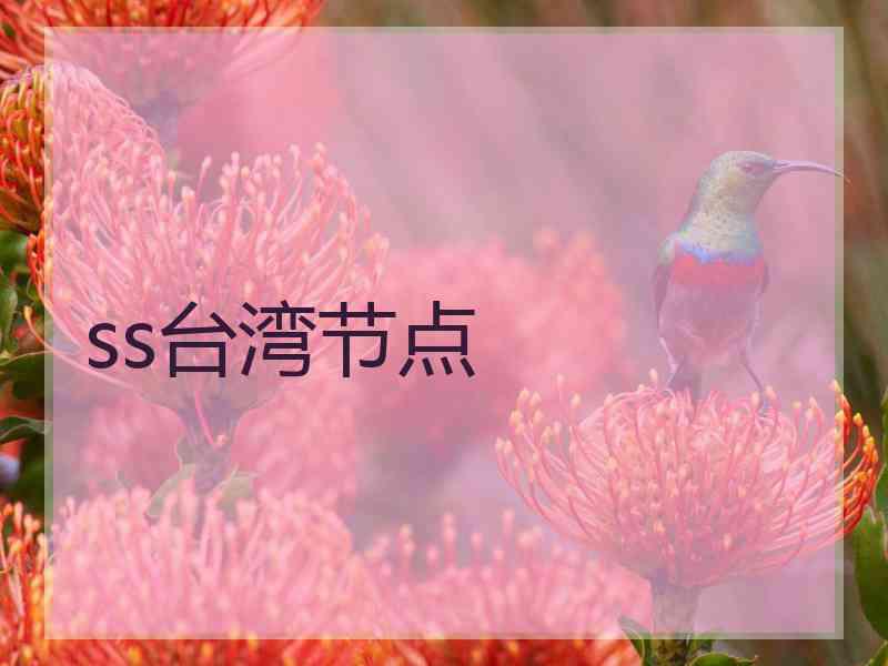 ss台湾节点