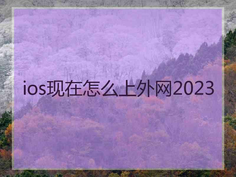 ios现在怎么上外网2023