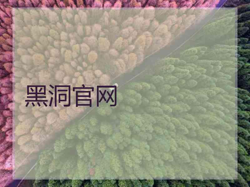 黑洞官网