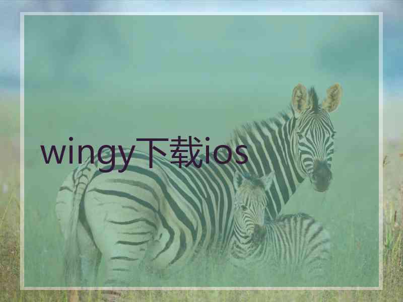 wingy下载ios