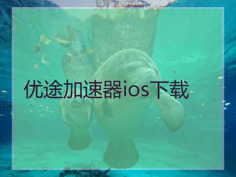 优途加速器ios下载