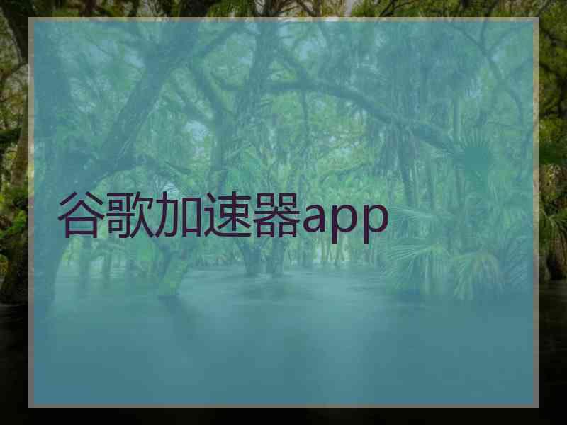 谷歌加速器app