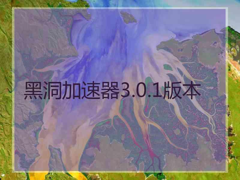 黑洞加速器3.0.1版本