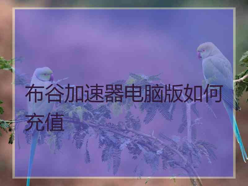 布谷加速器电脑版如何充值