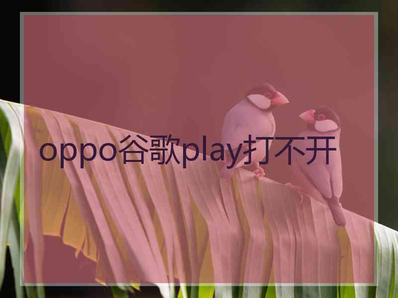 oppo谷歌play打不开