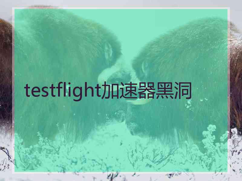 testflight加速器黑洞