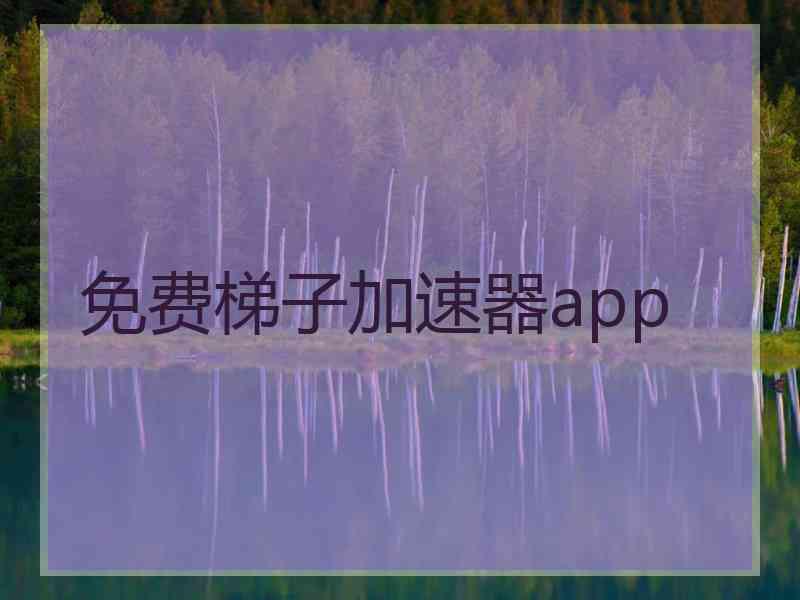 免费梯子加速器app