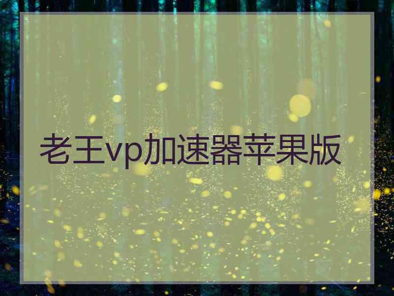 老王vp加速器苹果版