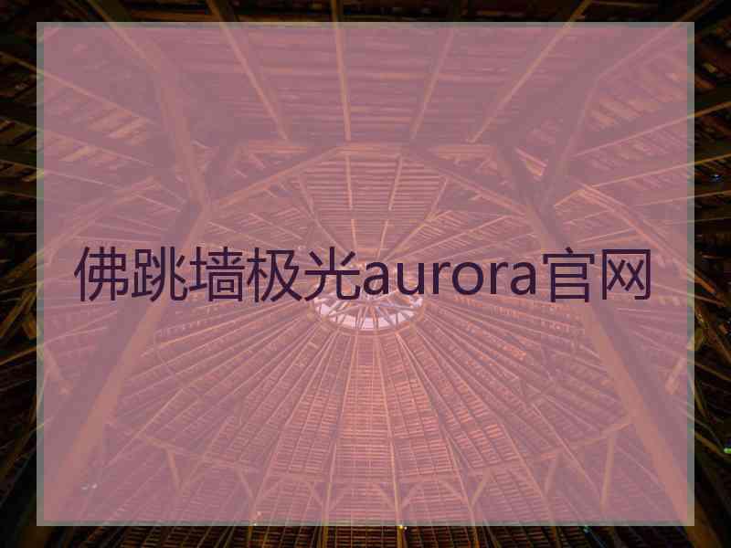 佛跳墙极光aurora官网