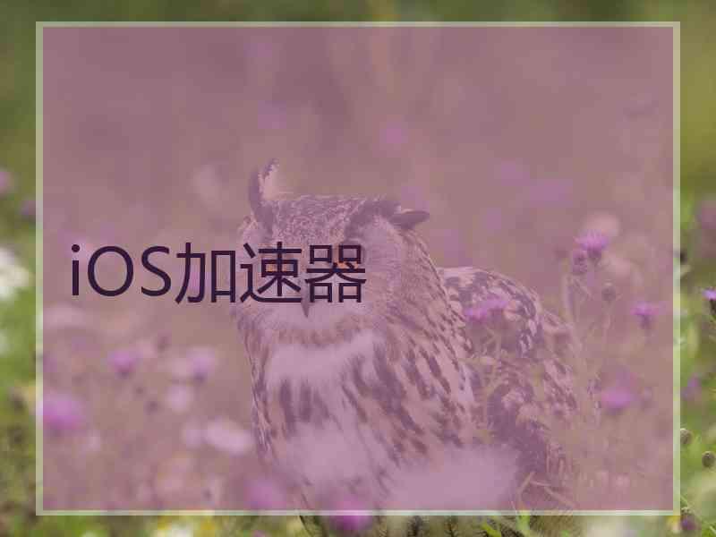 iOS加速器