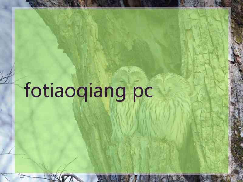 fotiaoqiang pc