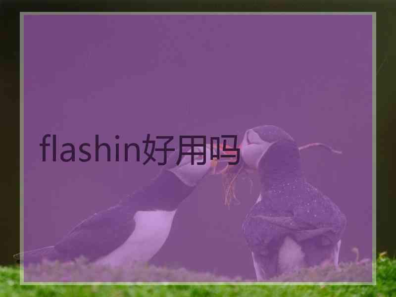 flashin好用吗