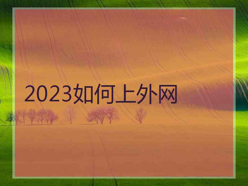 2023如何上外网