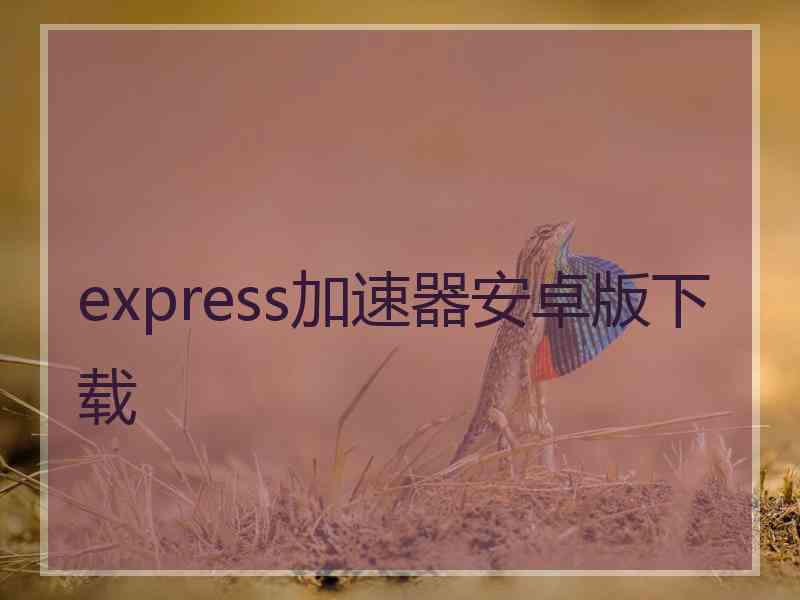 express加速器安卓版下载