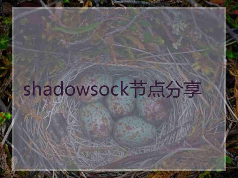 shadowsock节点分享