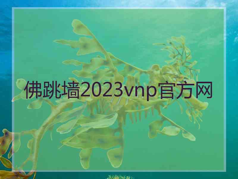 佛跳墙2023vnp官方网