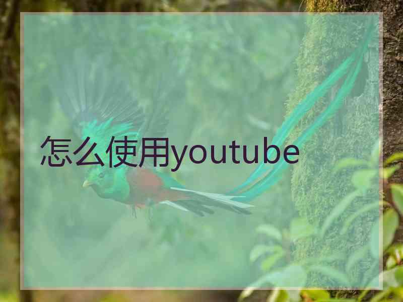 怎么使用youtube