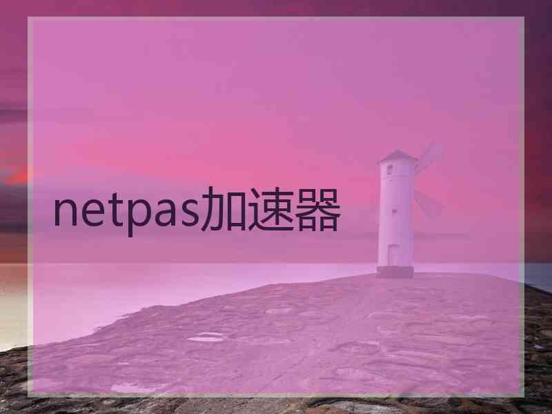 netpas加速器