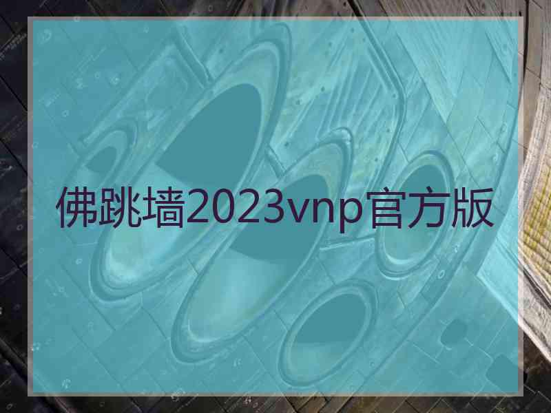 佛跳墙2023vnp官方版