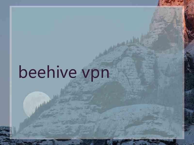 beehive vpn