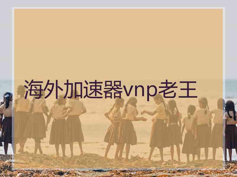 海外加速器vnp老王