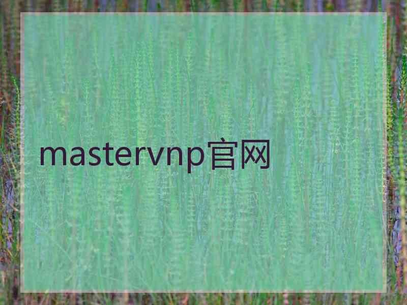 mastervnp官网