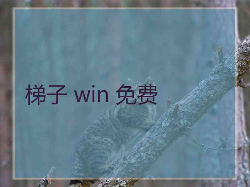 梯子 win 免费